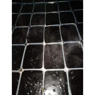 thạch đen siêu ngon