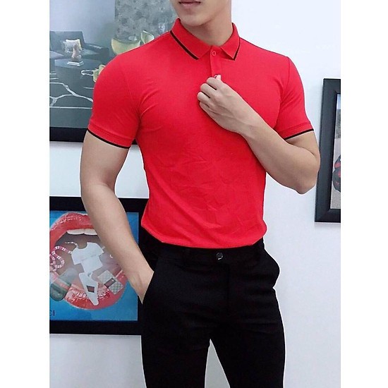 Áo phông nam ngắn tay cổ bẻ phối viền cao cấp : Kiểu dáng Hàn Quốc chất liệu cotton , co giãn 4 chiều | BigBuy360 - bigbuy360.vn