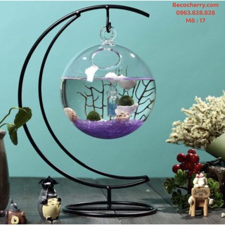 Bể cá mini cung trăng 17 ( tặng kèm phụ kiện trang trí )