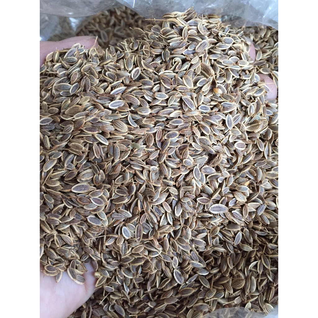 HẠT THÌ LÀ TA SIÊU THƠM (nấu ăn, làm bánh, giamcan)