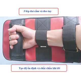 Pad đấm tập võ thuật Vstar DV110 (1 cái)