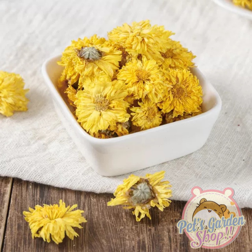 Hoa cúc vàng sấy khô - Thức ăn hamster