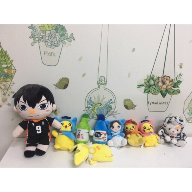 Combo gấu bông  doll