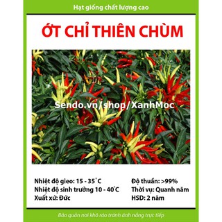 Hạt giống Ớt chỉ thiên chùm