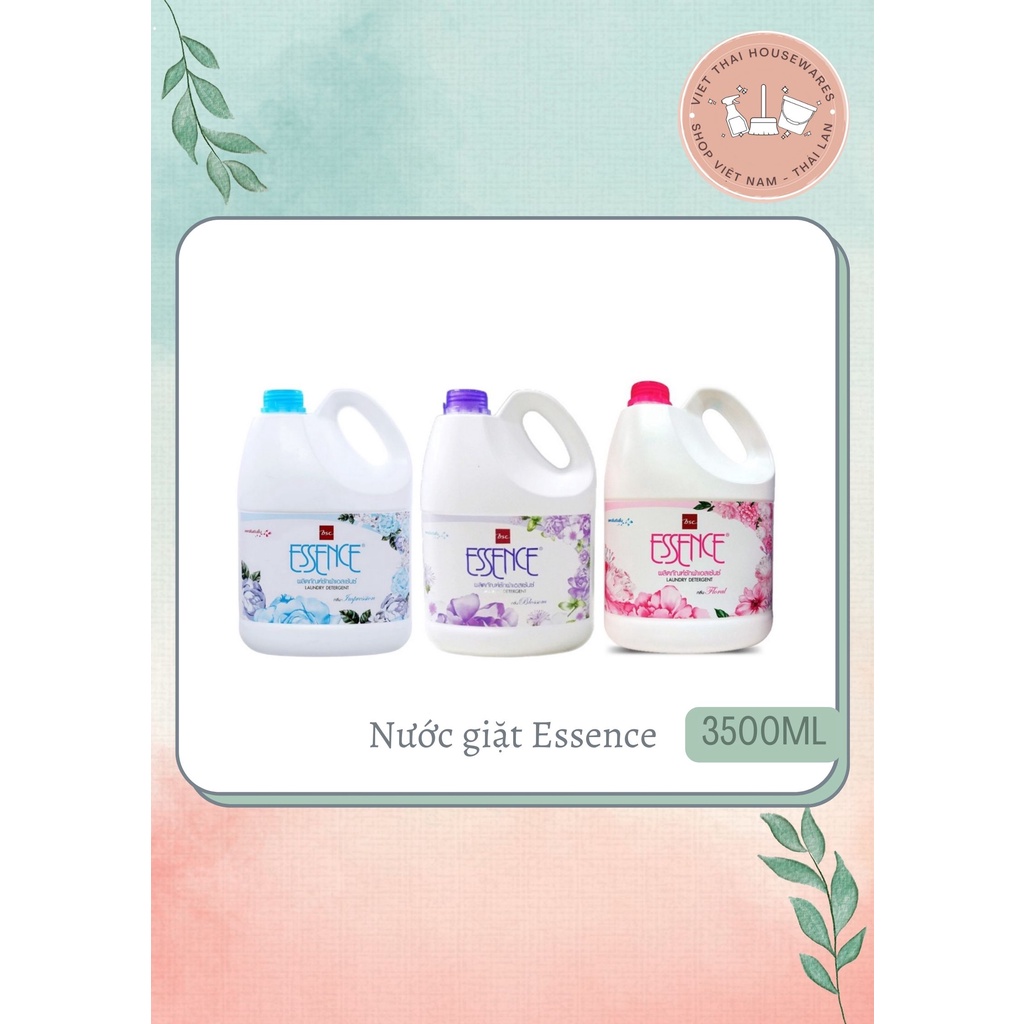 Nước giặt Essence Thái Lan