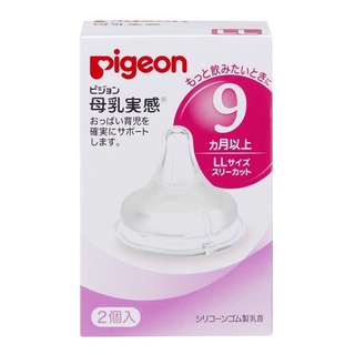 Núm pigeon nội địa Nhật
