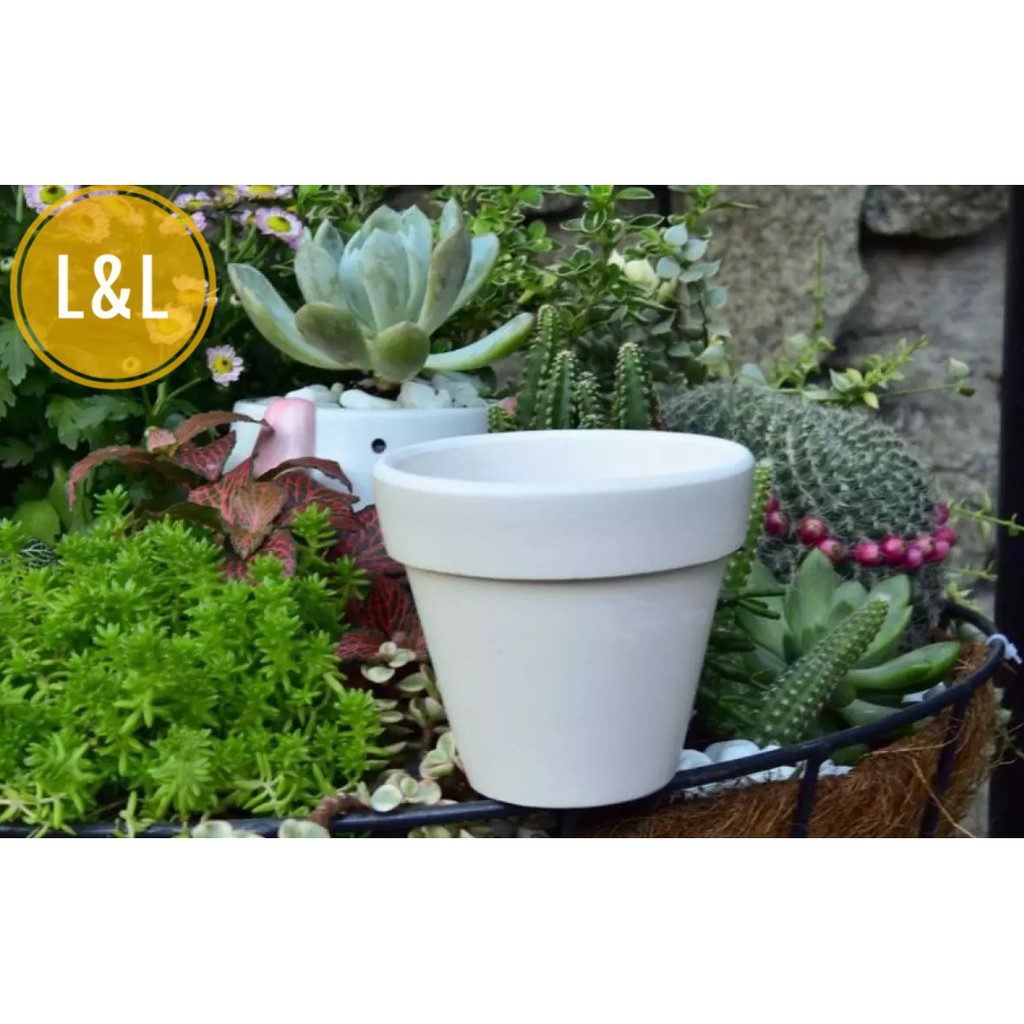 Bộ 3 chậu đất nung vành miệng trắng xinh xắn trồng cây cảnh để bàn, cây cảnh mini, sen đá, xương rồng
