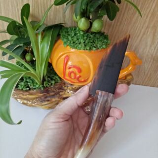 Dao sừng dọc giấy ,nhiều màu