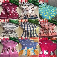 Chăn Hè COTTON POLY Trần Bông 3 lớp