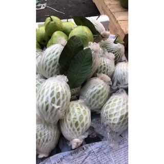 Ổi Lê ( Đài Loan)