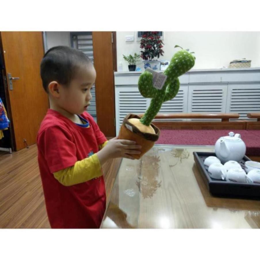 Cây Xương Rồng Khiêu Vũ Nhảy Múa uốn éo, thu âm nhại tiếng, Phát Ra Âm Thanh Vui