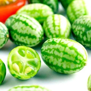 Gói 10 hạt giống dưa hấu mini bayby mexico, tặng kích mầm