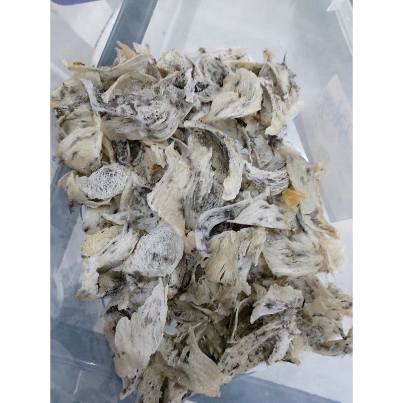 [Mã 267FMCGSALE giảm 8% đơn 500K] Combo 100g yến thô+ nhíp nhặt và thố chưng - tổ yến bể gãy nguyên chất | BigBuy360 - bigbuy360.vn