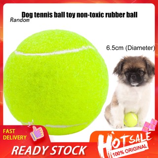 Quả Bóng Tennis Cao Su Không Độc Hại Cho Thú Cưng