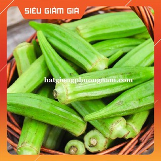 20GR - HẠT GIỐNG ĐẬU BẮP [Giá Hủy Diệt]