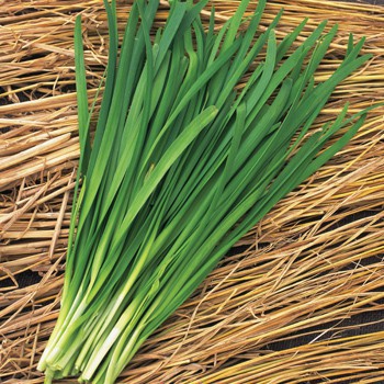 Gói 2g hạt giống Hẹ
