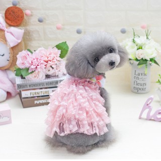 Áo cho Chó Mèo - Váy đầm xoè babydoll dễ thương - chọn mẫu