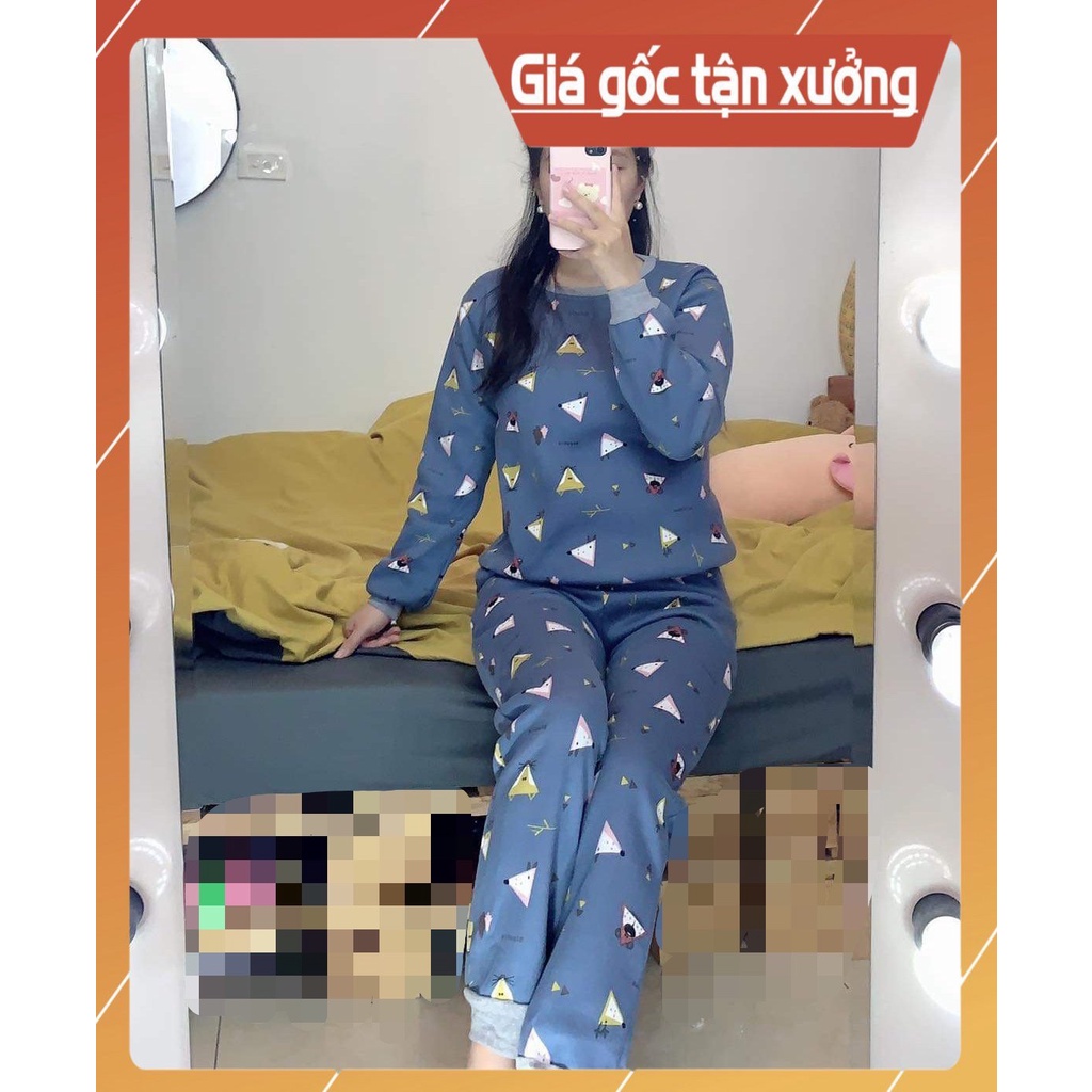 Bộ đồ ngủ cotton giữ ấm cao cấp mùa đông | BigBuy360 - bigbuy360.vn