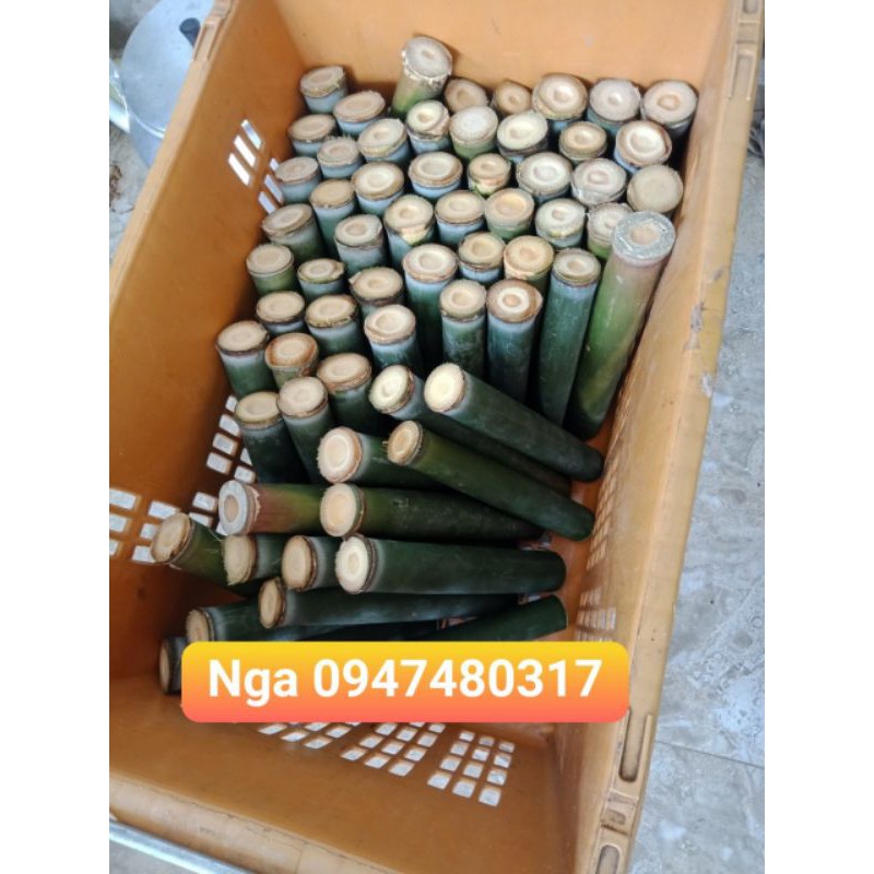 Ống lồ ô nấu cơm lam 3000d 1 ống dài 23cm