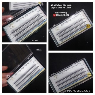 Mi Nối Chùm Hàn Quốc