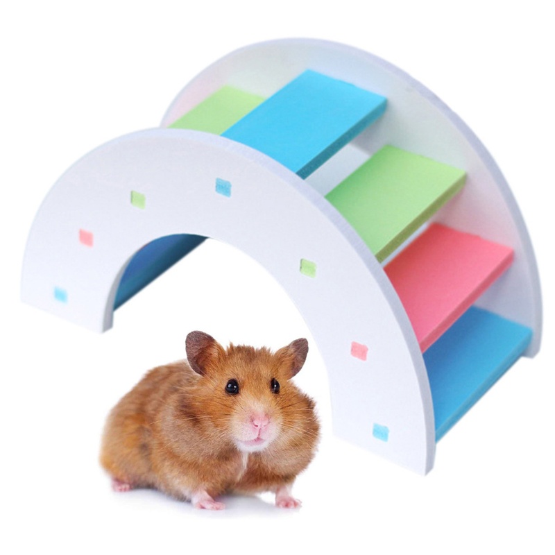 Cầu Vồng Đồ Chơi Cho Chuột Hamster