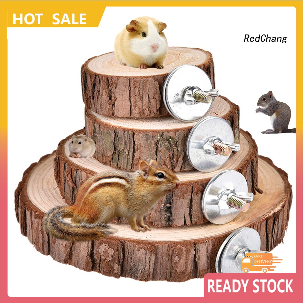 Bệ gỗ vui chơi cho chuột hamster
