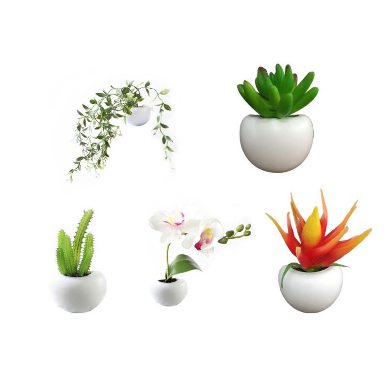 Nam châm dán tủ lạnh hình cây xương rồng