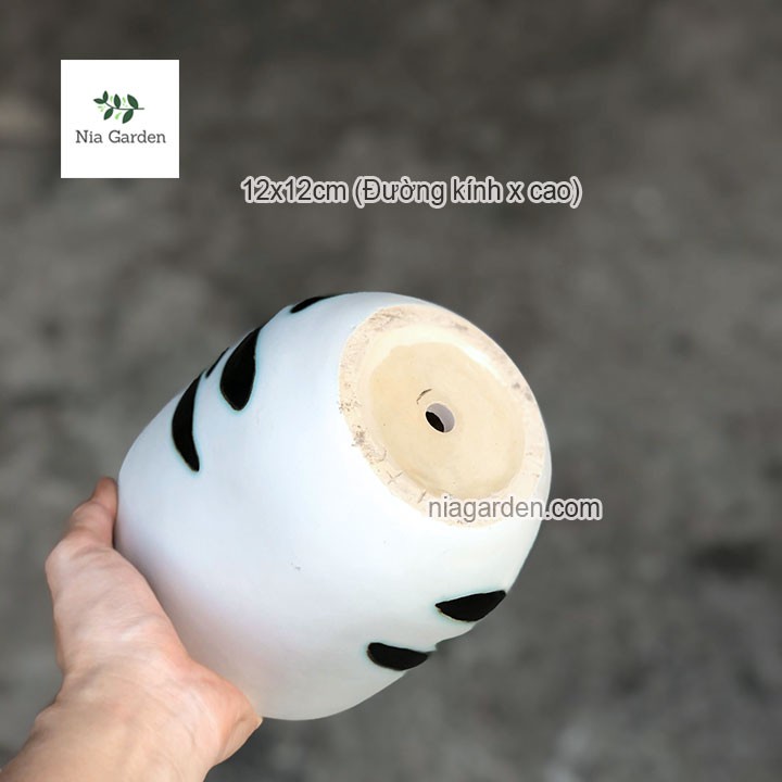 Chậu mèo láu cá trồng cây cảnh xương rồng mini sen đá bầu nhỏ Nia Garden N4