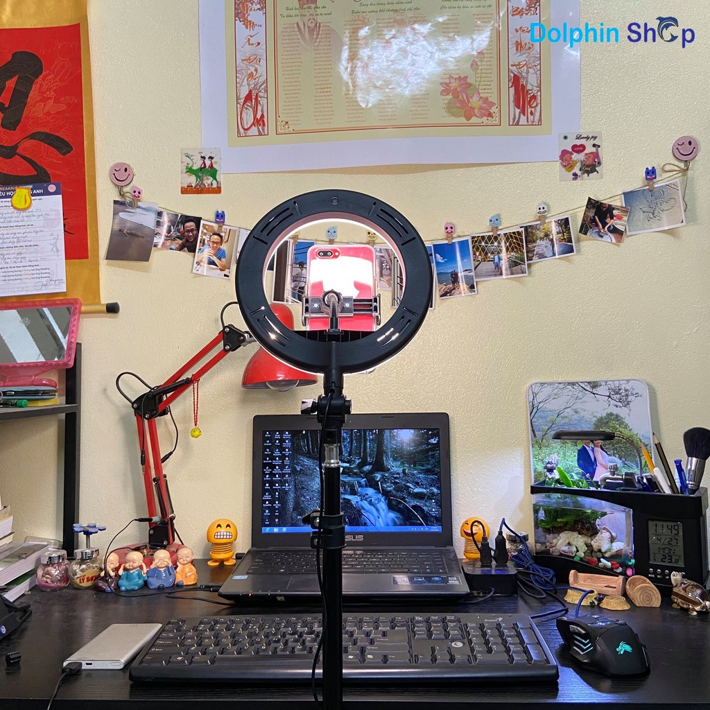 [Có Clip Size 20cm] Đèn Livestream Size 20cm Dành Cho Bán Hàng Online, Quần Áo, Makeup - Cây  live stream size 20 | BigBuy360 - bigbuy360.vn