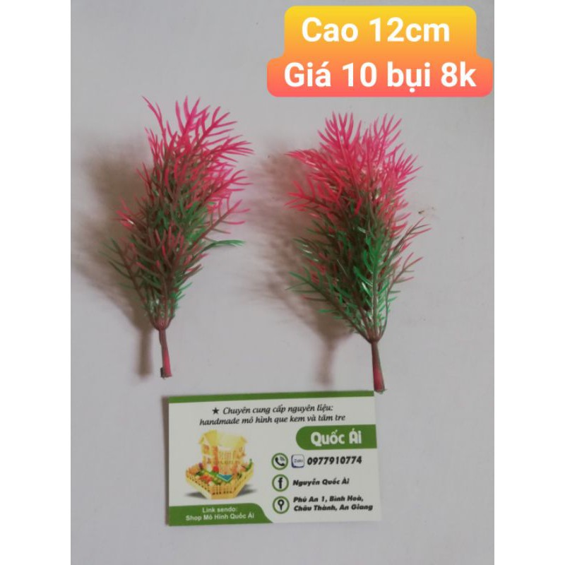 hoa cao hồng 10 bụi 8k