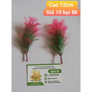 Hoa cao hồng 10 bụi 8k