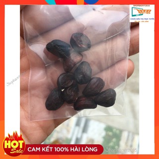 COMBO 5 hạt dổi+50 Gram Hạt mắc khén