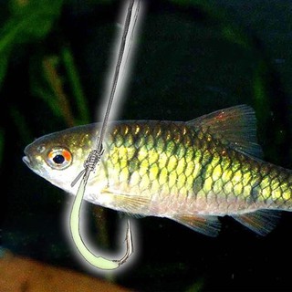 30 lưỡi câu dạ quang