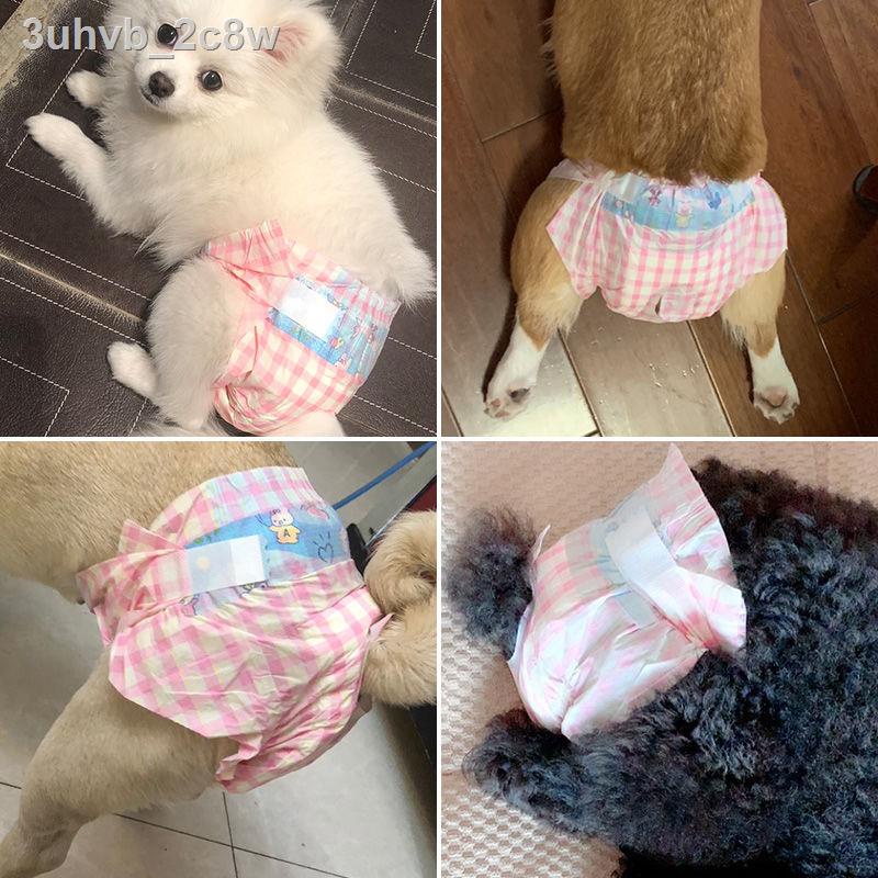 ♟☼Con chó cái quần sinh lý an toàn kinh nguyệt băng vệ teddy lông vàng tã vật nuôi đực