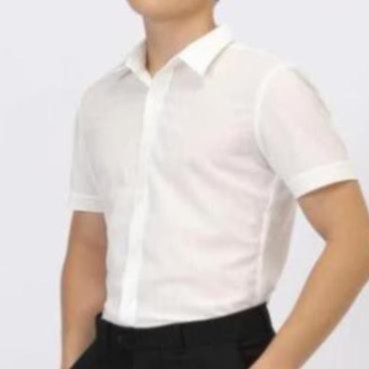 Áo SƠ MI CỘC TAY Nam, Chất Vải Lụa Không Nhăn, Thoáng Mát, Lịch Sự, Dáng Slimfit Hàn Quốc | BigBuy360 - bigbuy360.vn