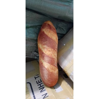 Gấu bông hình bánh mì