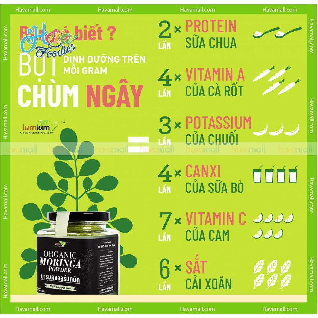 [HÀNG CHÍNH HÃNG] Tinh Bột Chùm Ngây Lumlum 150gr - Organic Moringa Powder