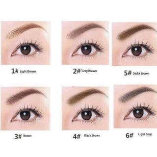 CHÌ KẺ MÀY 2 ĐẦU