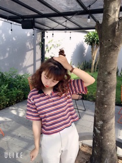 POLO CROPTOP by Chint 🤩🤩