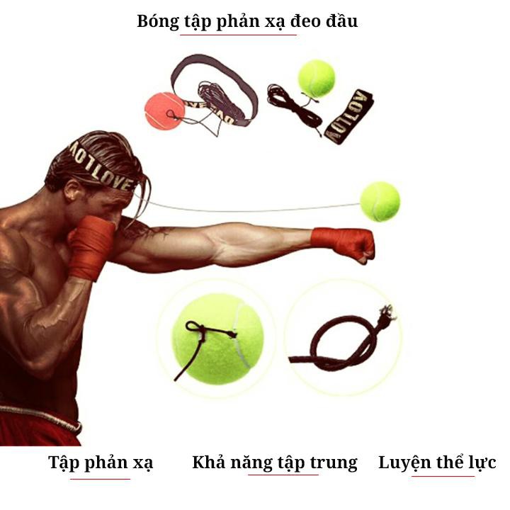 Bóng đấm boxing tập phản xạ treo đầu FX301