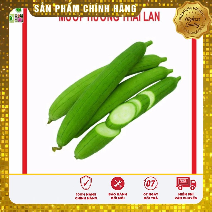 Hạt Giống Mướp Hương 10 Hạt [Bán Sỉ]