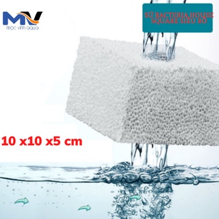 Vật liệu lọc Sứ lọc bể cá, sứ tàu hũ Bacteria house viên vuông 10x10x5cm