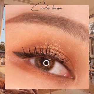 KÍNH ÁP TRÒNG CARIBE BROWN