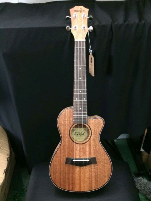 Đàn ukulele