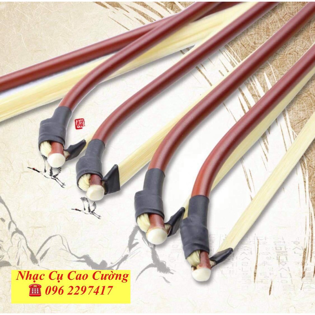 VĨ ĐÀN NHỊ CAO CẤP