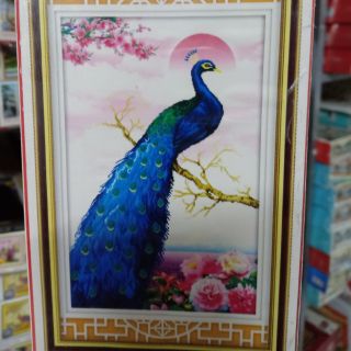 Tranh đính đá chim công xanh tuyệt đẹp và độc lạ kt 53*83cm(hình thật)
