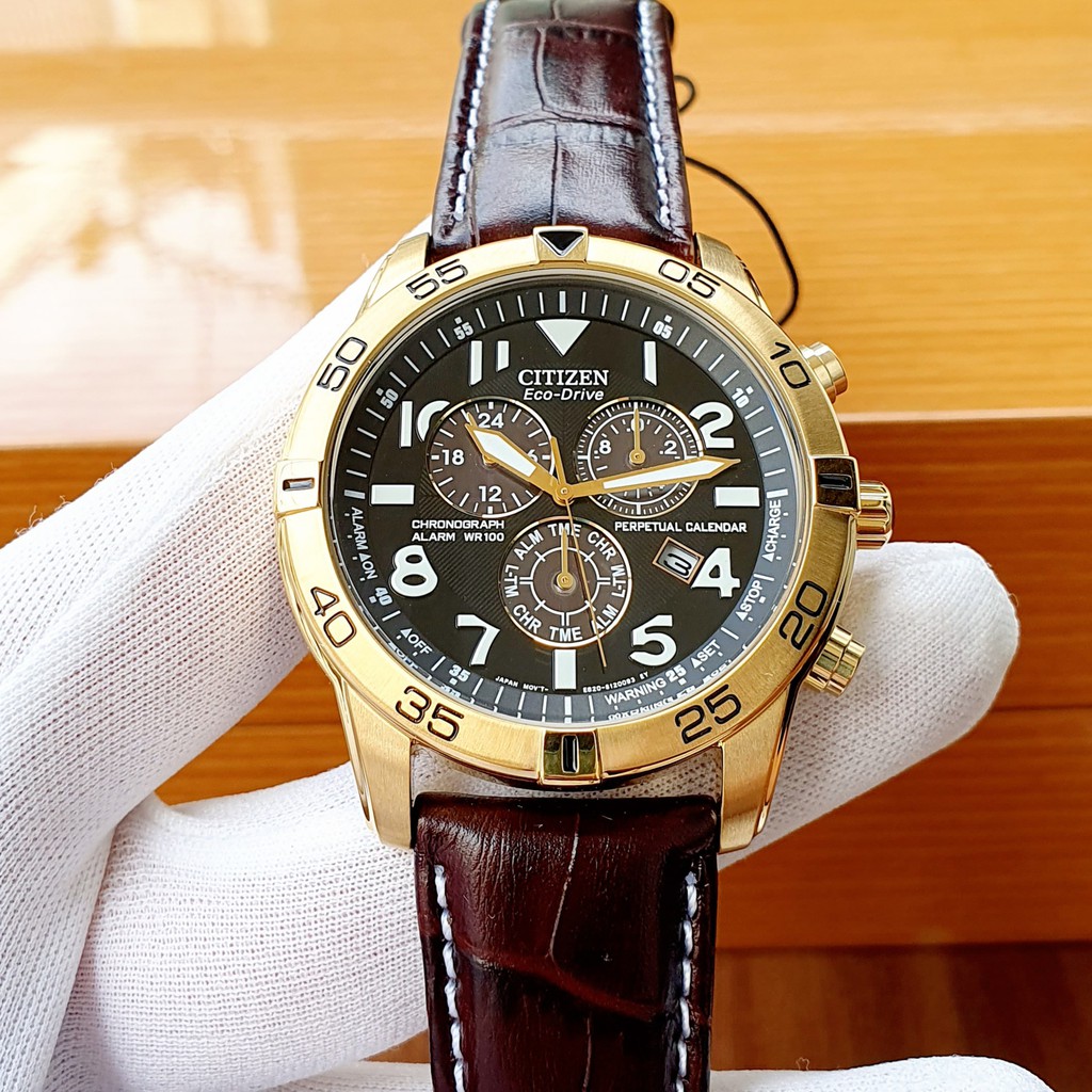 Đồng hồ nam Citizen Eco-Drive Perpetual Calendar Chronograph Alarm 100M BL5472-01E Men's Watch