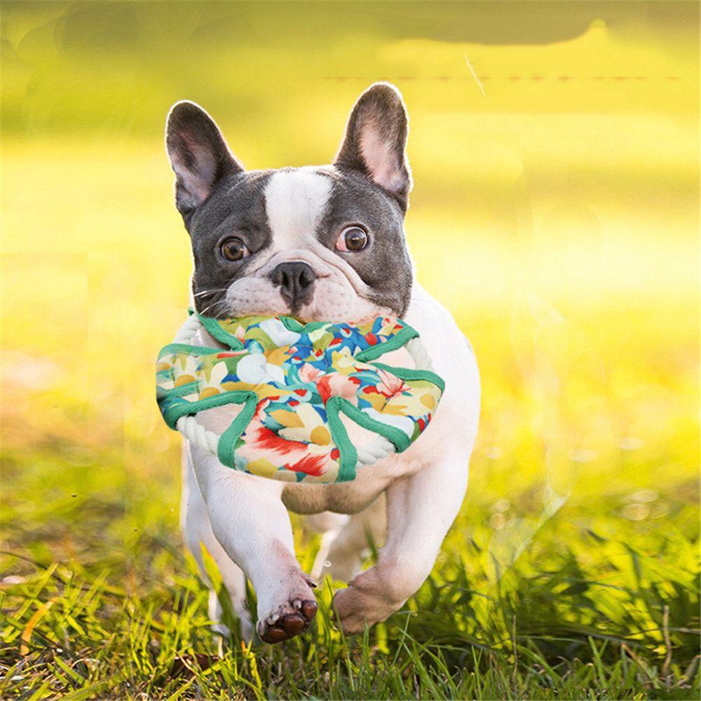 LAYOR1 Đồ Chơi Tương Tác Mềm Mại Có Âm Thanh Vui Nhộn Cho Thú Cưng