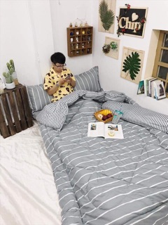 set phao poly nhập
