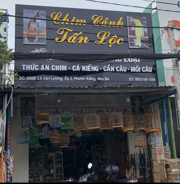 Thức Ăn Chích Choè Anh Thông 550gr - Cám Chim Chích Choè Than Lửa